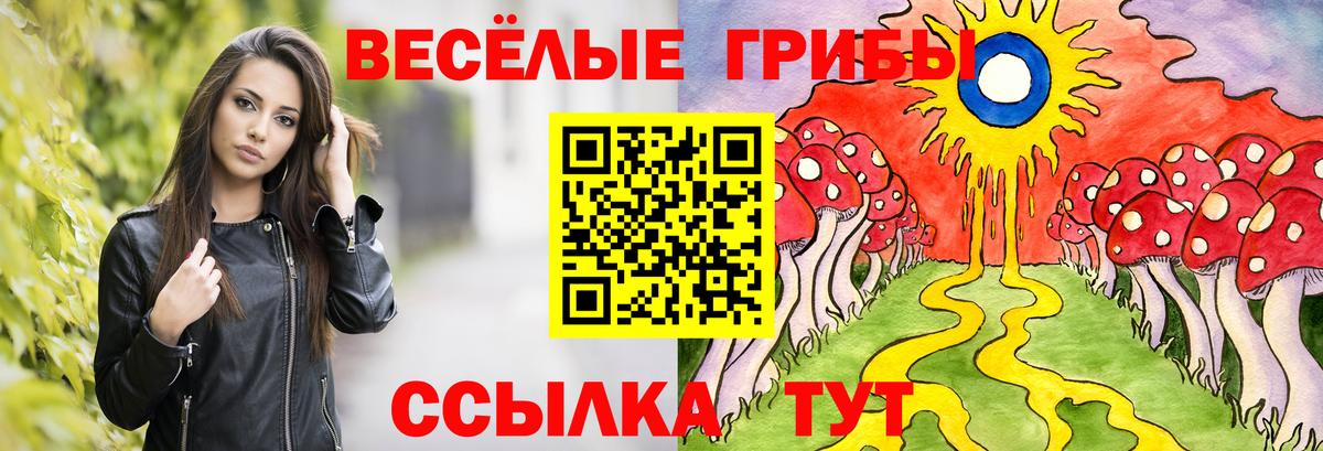 Галлюциногенные грибы Magic Shrooms  Вход с VPN  Отрадный  Псилоцибиновые грибы мицелий 