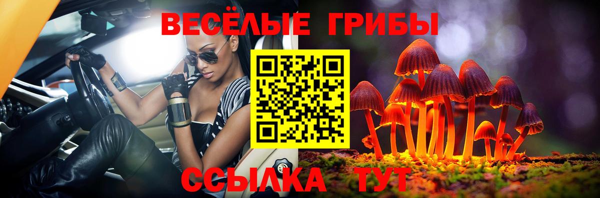 Галлюциногенные грибы MAGIC MUSHROOMS Отрадный